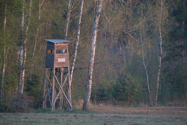 Dawn Watchtower Vigil