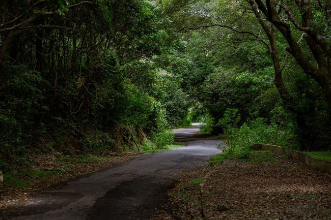 Visiting Udawattakele Forest Reserve