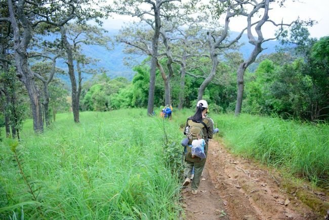 Nature Trek around Padam Talao