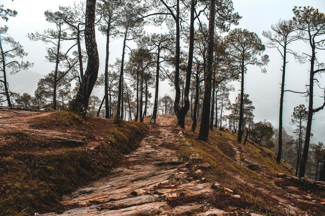 Dawn Trek to Zero Point