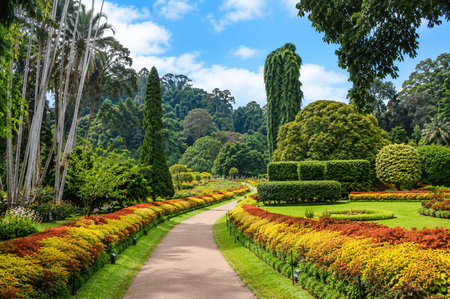 Royal Botanical Gardens, Peradeniya