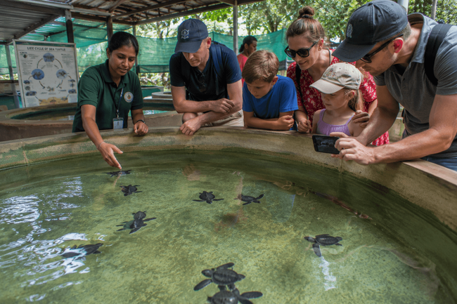 Visiting Kosgoda Turtle Hatchery