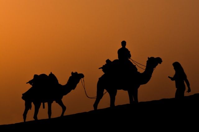 Sunset Camel Ride