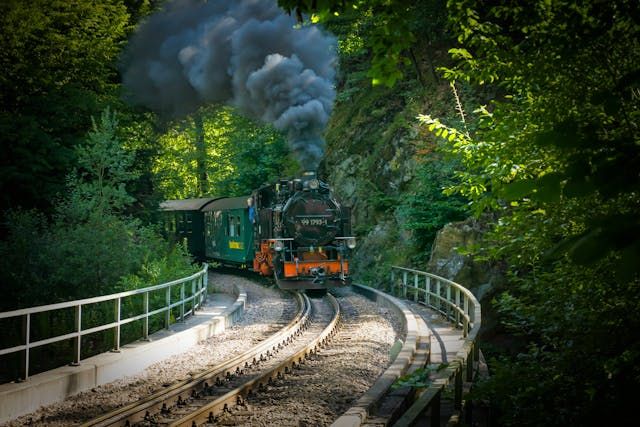 Darjeeling Himalayan Railway (Toy Train)