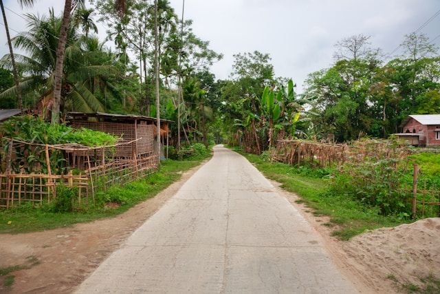 Majuli Island (via Nimatighat ferry) 