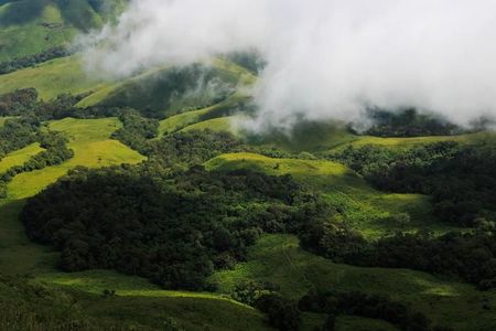 Family Chikmagalur Getaway
