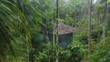 Experience-led Wayanad Trail