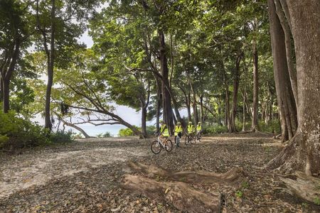 Luxury Andaman Escape