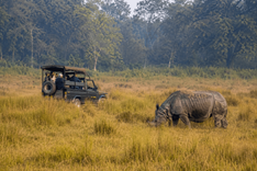 Jeep Safari in Chitwan National Park