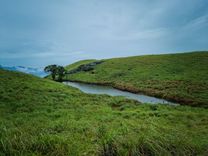 Chembra Peak (Heart-Shaped Lake Trek)  