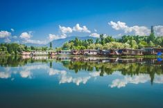Srinagar 