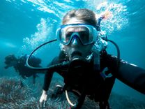 Scuba Diving at Havelock