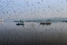 Kayak on the Yamuna at Sunrise
