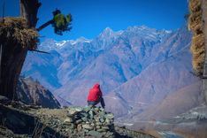 Trekking to Dzongri Viewpoint