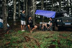 Camping and Nature Walk at Mashobra