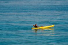 Sea Kayaking through Mangrove Creeks