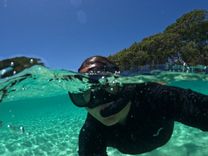 Snorkelling at Elephant Beach