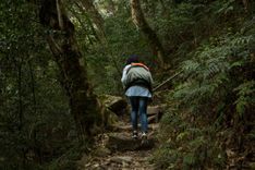 Trekking to Double Decker Root Bridge