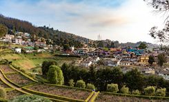 Tea Museum/Tea Factory in Ooty