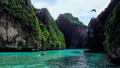Phi Phi Islands Day Tour