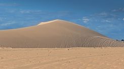 Sam Sand Dunes & Desert Safari