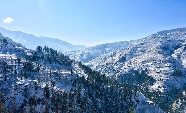 Shimla highlight