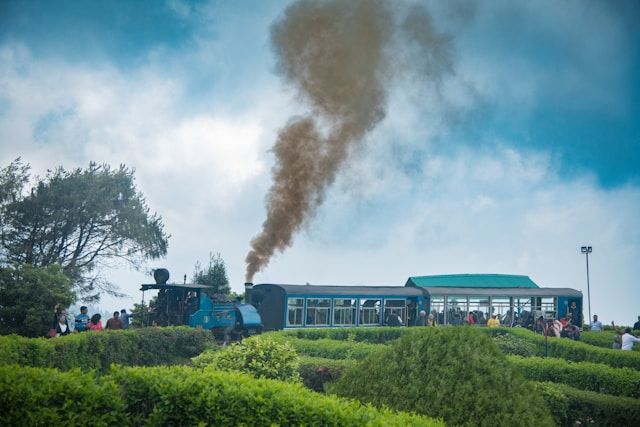 Darjeeling highlight